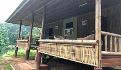 Elephant Project Accommodation